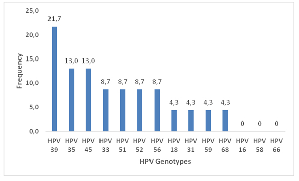 high risk hpv genotypes cancer)