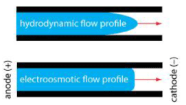 Differences and similarities between nano-, micro-and macroscale