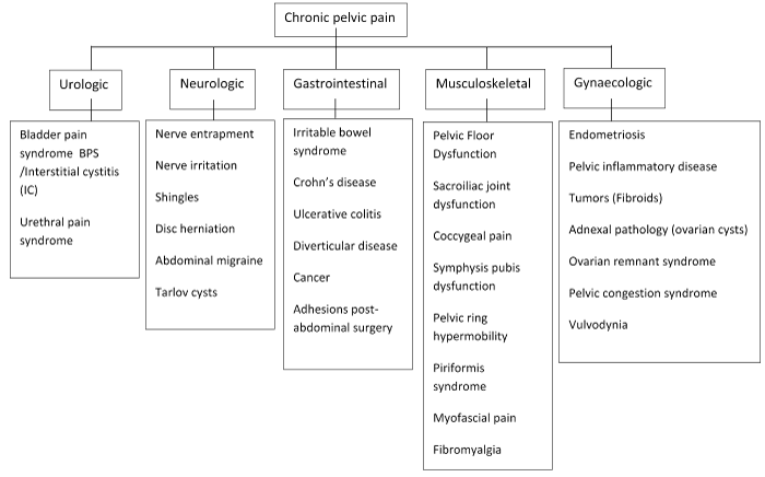 Viscerosomatic Chart