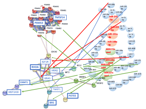 Quantum Microrna Network Analysis In Gastric And Esophageal