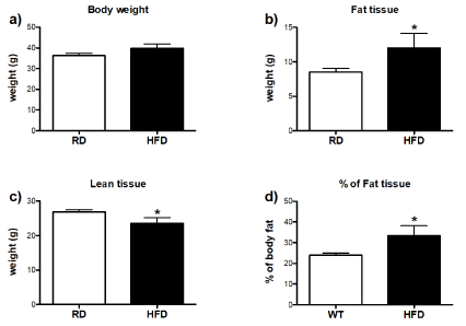 Long-term consumption of high-fat diet impairs motor coordination without  affecting the general motor activity