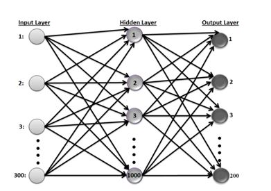 Figure 7. The proposed back propagation network topology