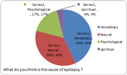 Epilepsy Chart