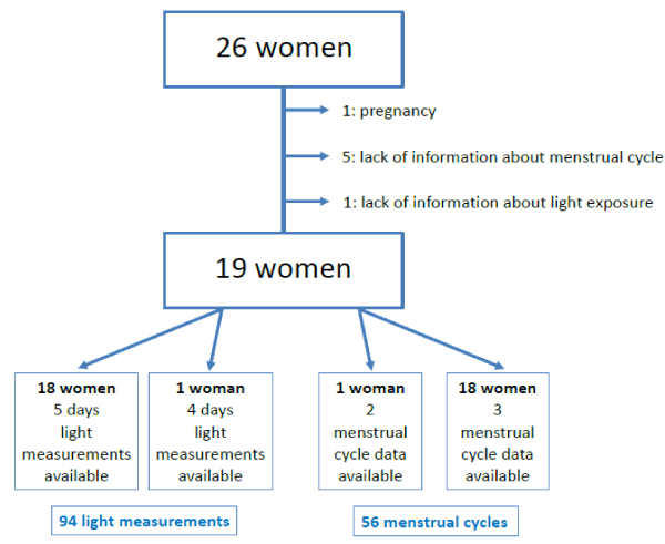 Standard Menstrual Cycle Chart